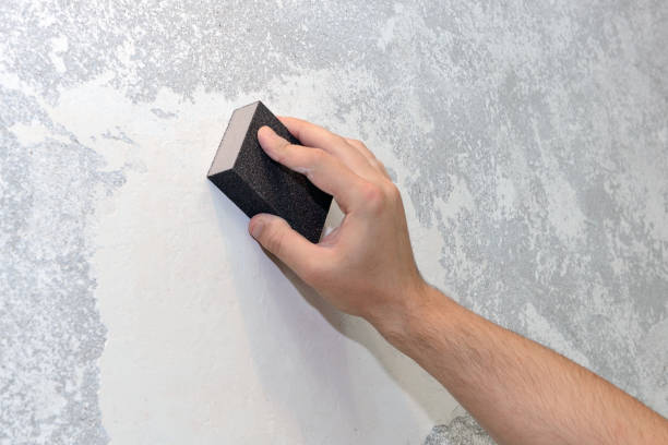 Best Environmental Consulting for Mold Prevention  in Bridgetown, MS