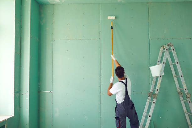 Best Mold Damage Restoration  in Bridgetown, MS