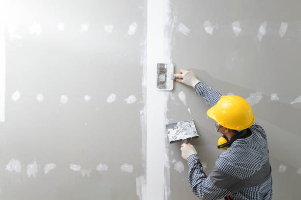 Best Mold Documentation for Insurance Claims  in Bridgetown, MS