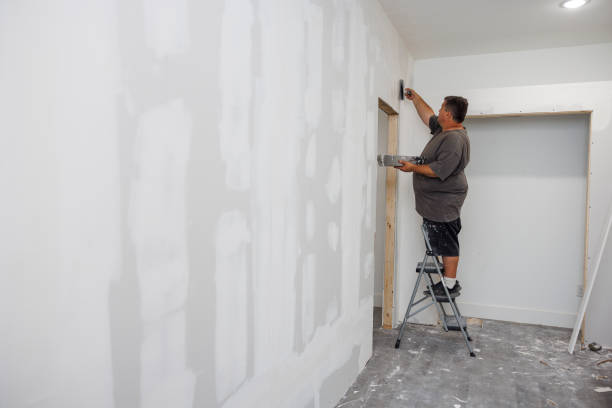 Trusted Bridgetown, MS Mold Removal Experts