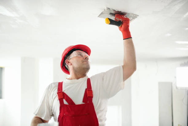 Mold Remediation for Rental Properties in Bridgetown, MS