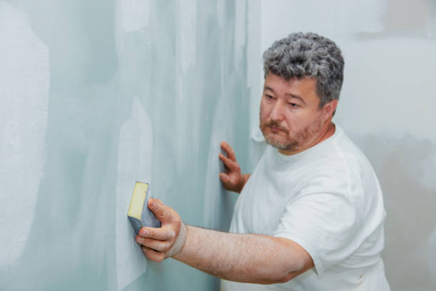 Mold Removal for HVAC Installations in Bridgetown, MS